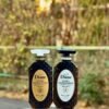 Moist Diane Shampoo and Conditioner Perfect Beauty Extra Damage Repair (450ml)